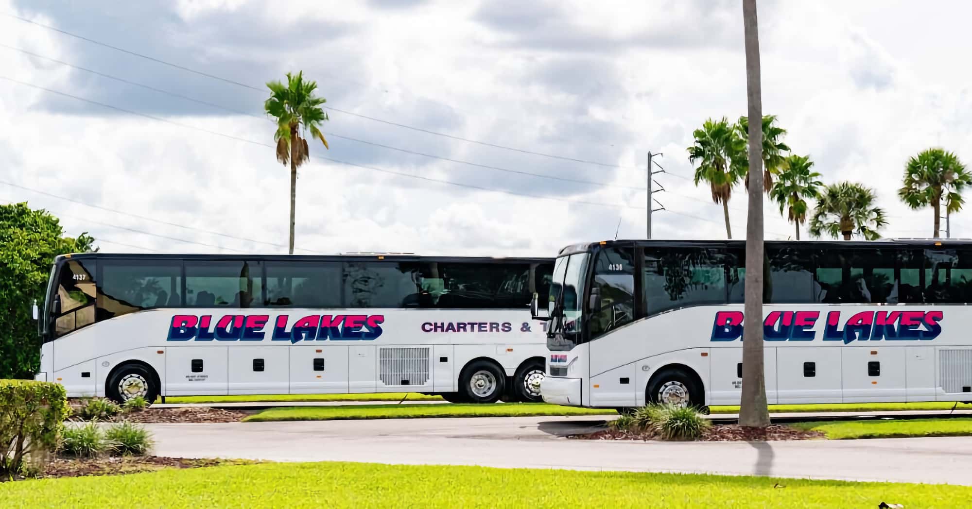 blue star tour bus